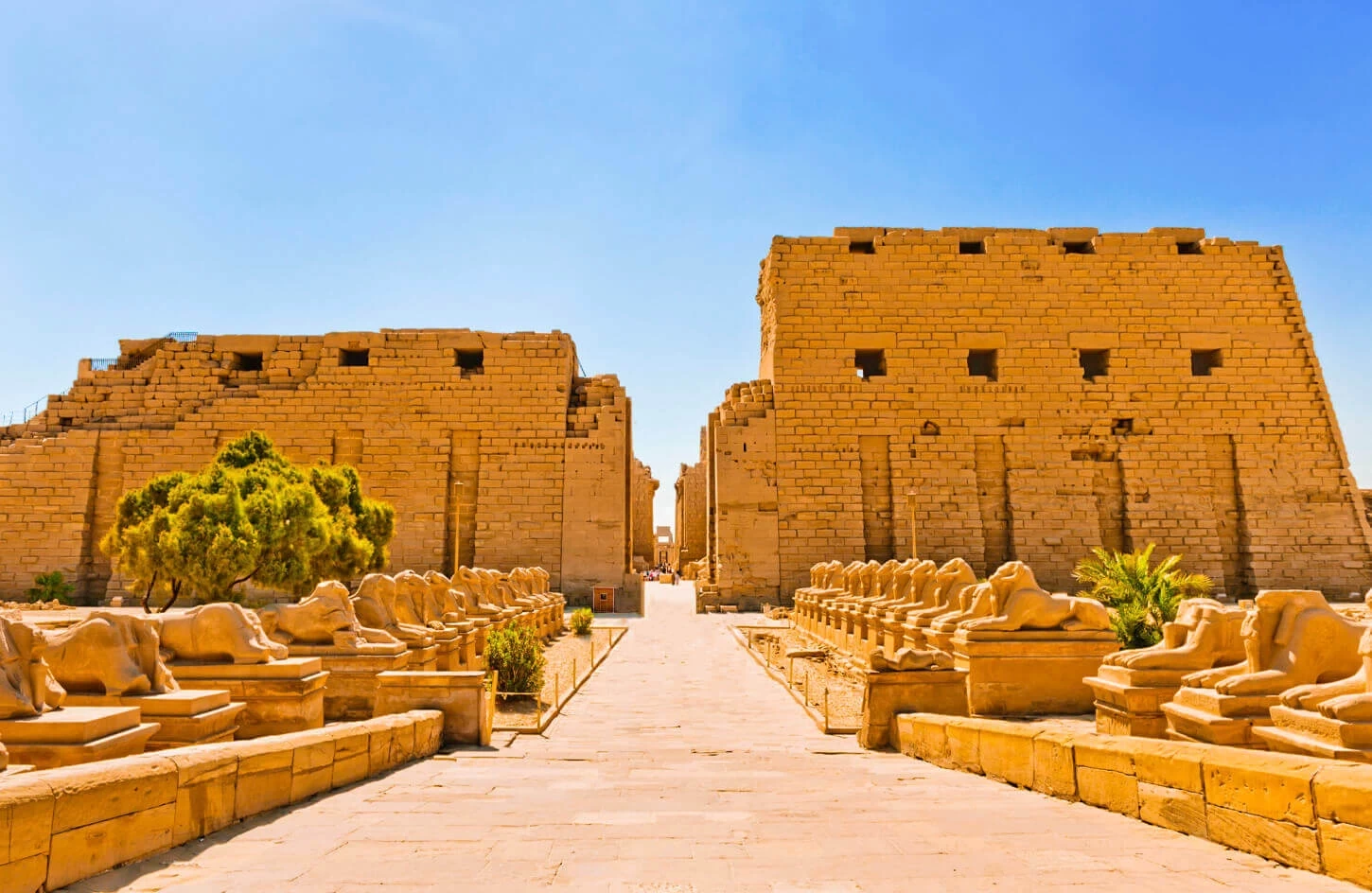 Egypt Luxury Tours