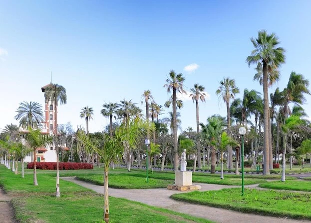 The Best Tour in Egypt