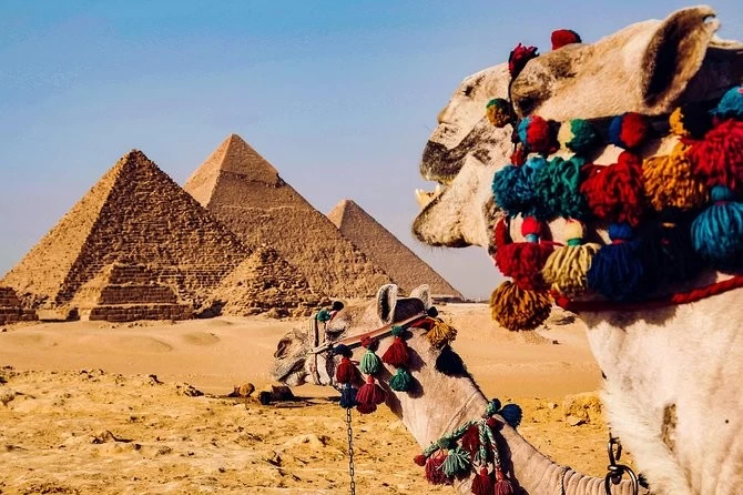 Luxury Package for the Best of Egypt }}