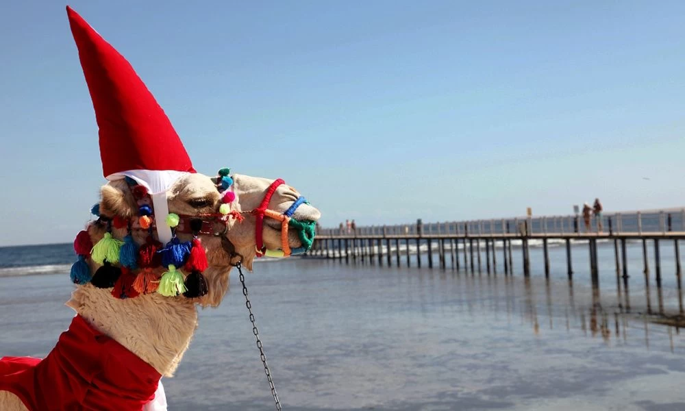 Cairo Deluxe Tour to White Desert & Bahariya in 3 Days